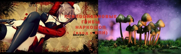 прущий лед Щигры